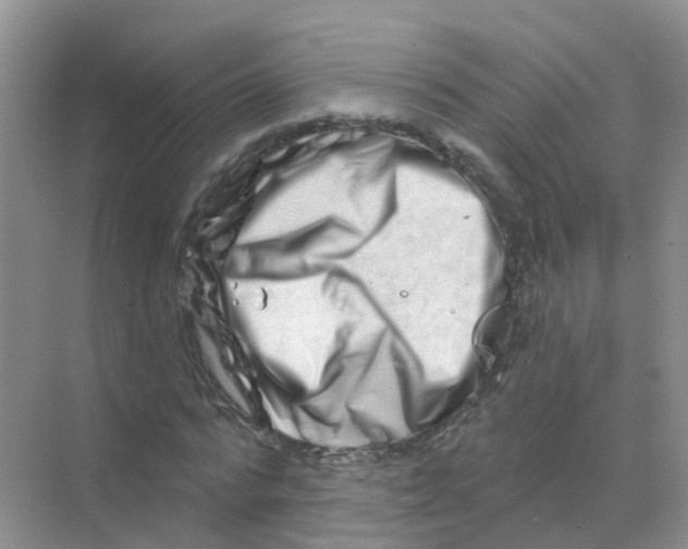 X0000070180776200606231946