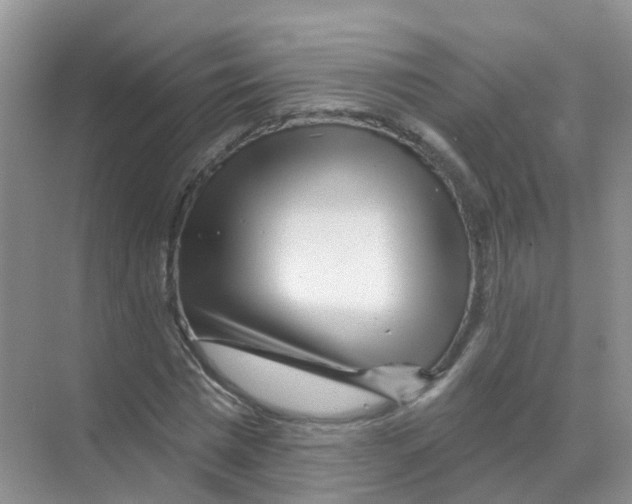 X0000070180777200606231946