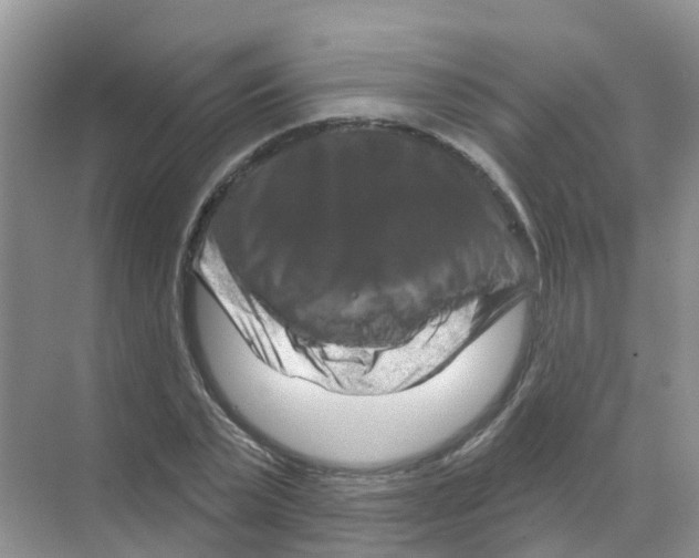 X0000070180783200606231945
