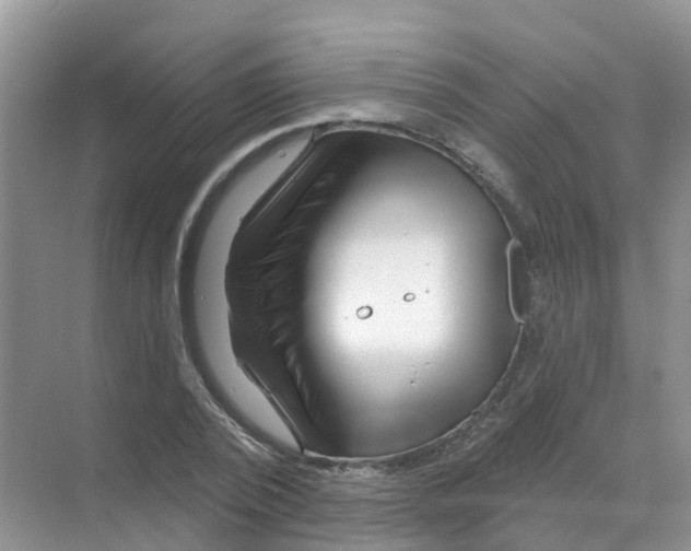 X0000070180784200606231945