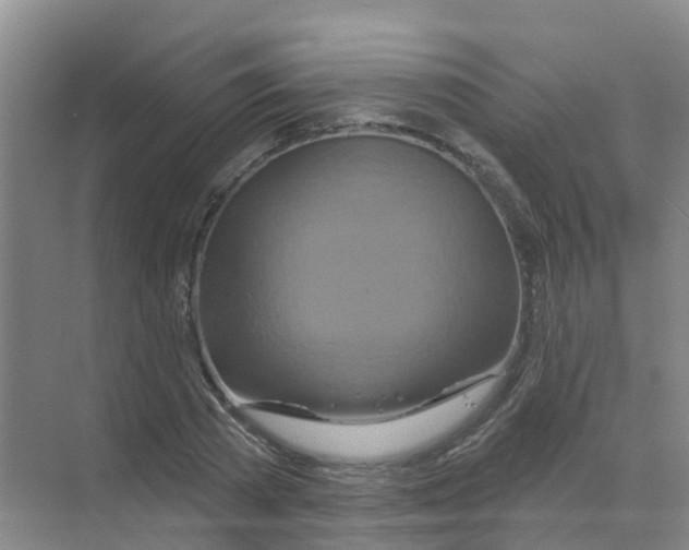 X0000070180785200606231945