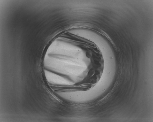 X0000070180786200606231945