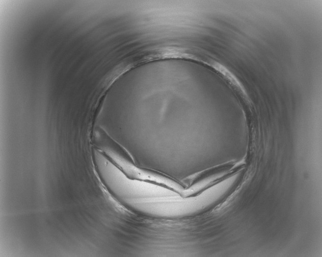 X0000070180801200606231945
