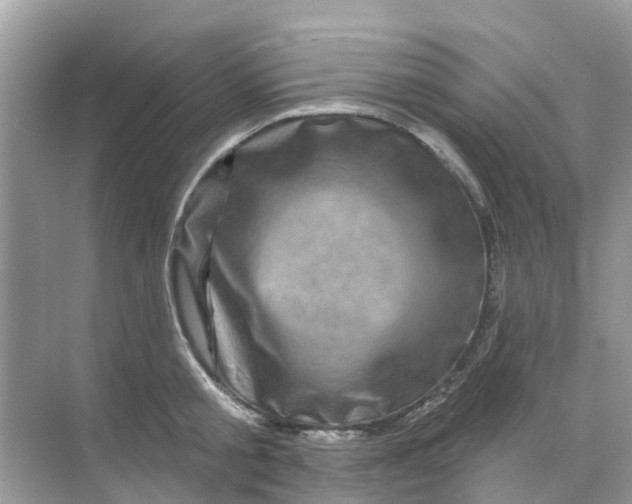 X0000070180805200606231945