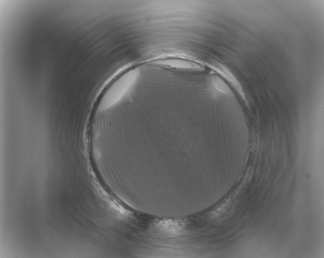 X0000070180806200606231945