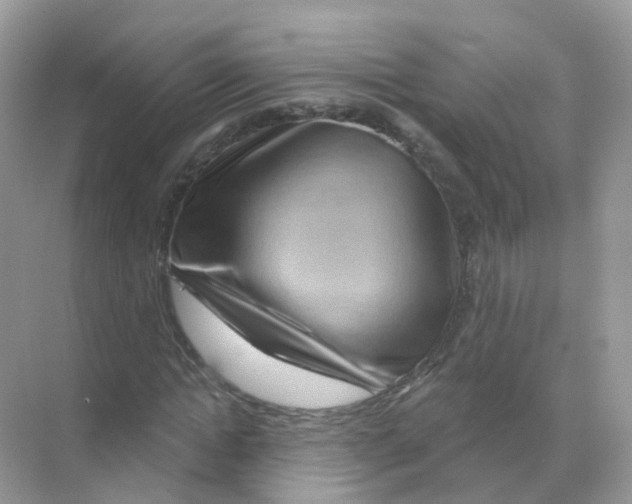 X0000070180822200606231944