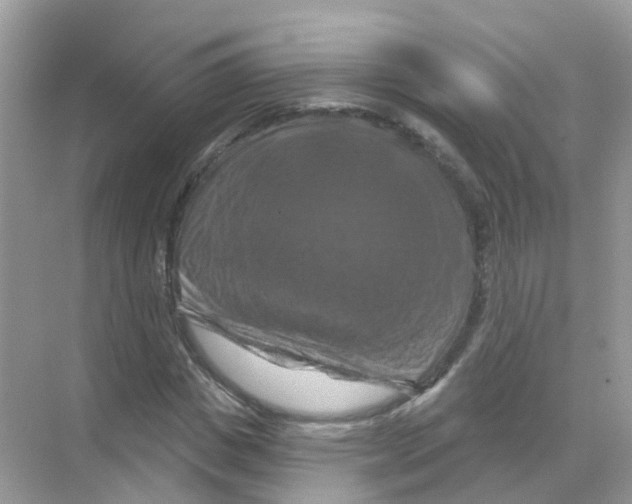 X0000070180825200606231944