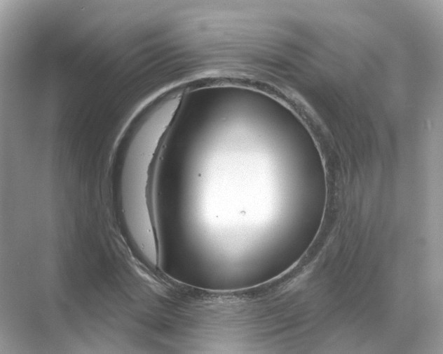 X0000070180830200606231944