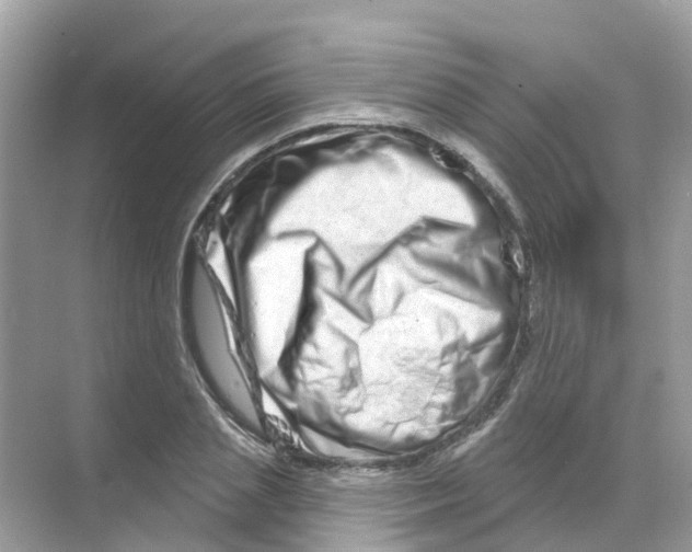 X0000070180837200606231944