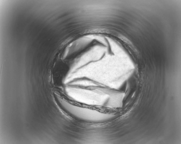 X0000070180841200606231944