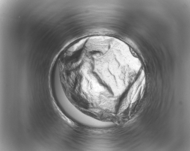 X0000070180843200606231945