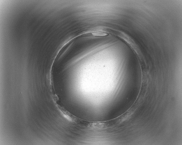 X0000070180858200606231945