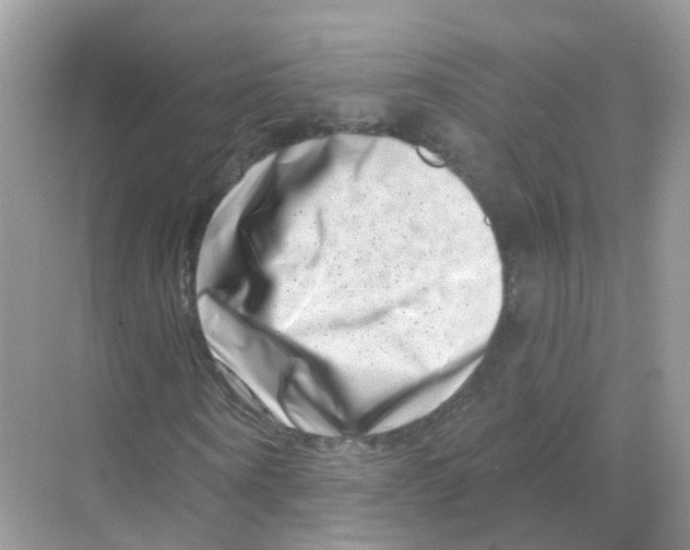 X0000070180866200606231944