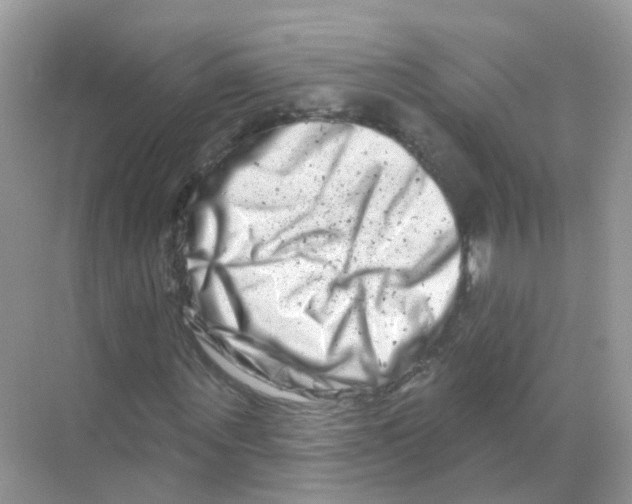 X0000070180867200606231944