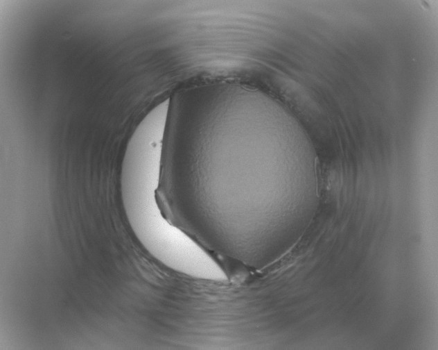 X0000070180868200606231944