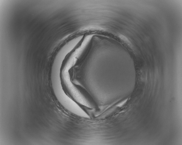 X0000070180872200606231944