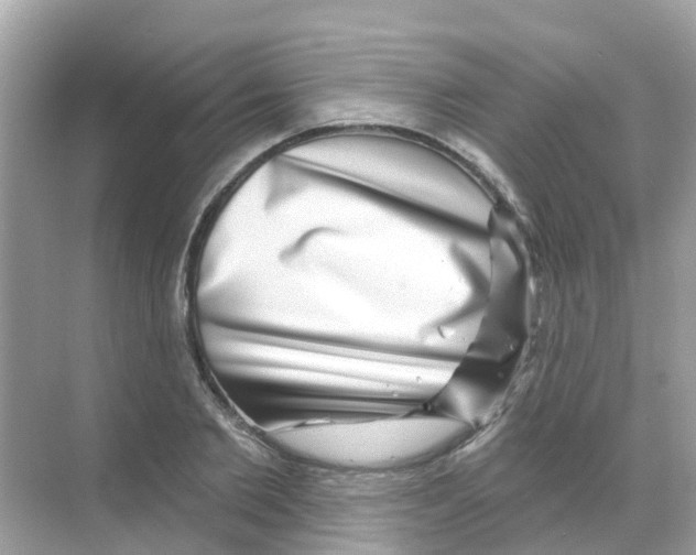 X0000070180885200606231944