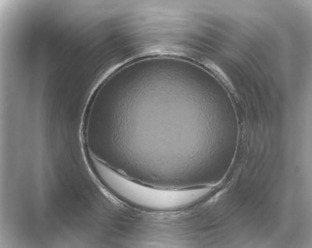 X0000070180893200606231944