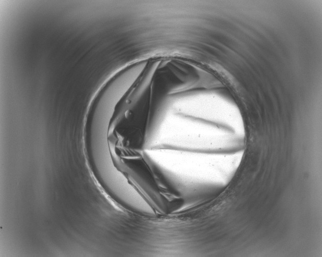 X0000070180894200606231944