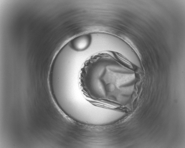 X0000070180901200606231943