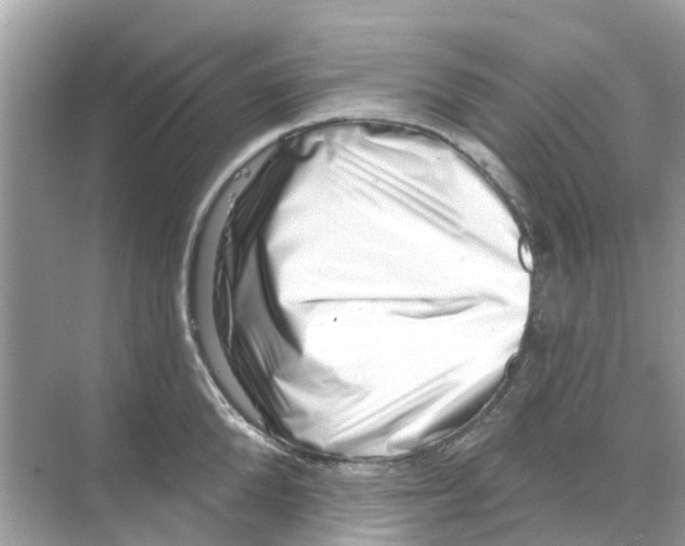 X0000070180904200606231943