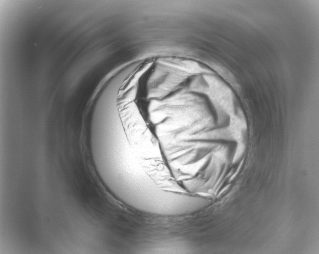 X0000070180912200606231943
