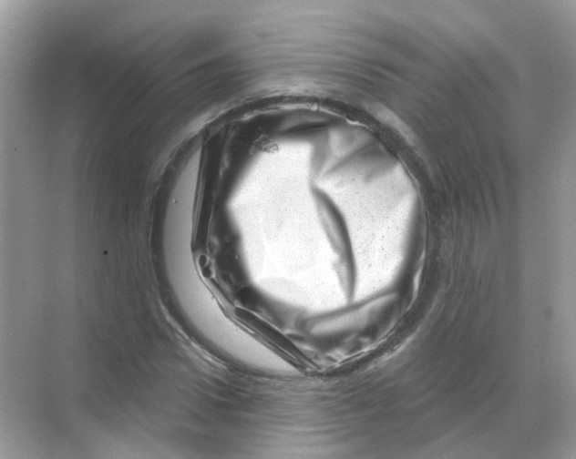 X0000070180922200606231943
