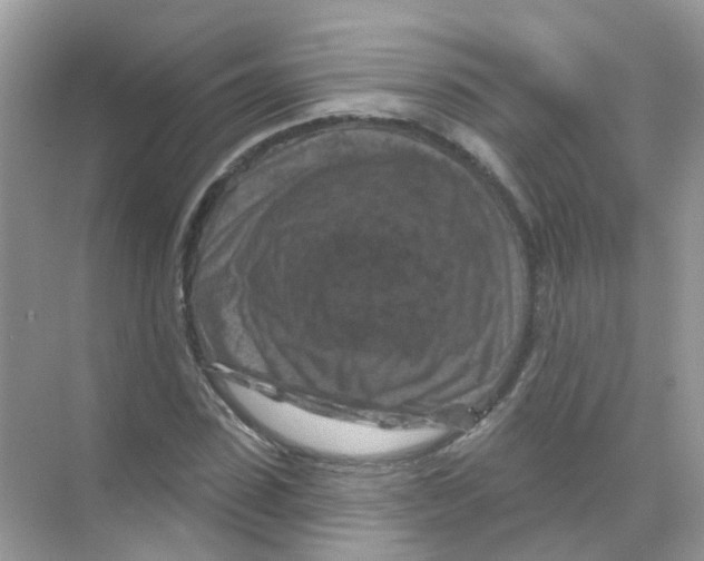 X0000070180923200606231943