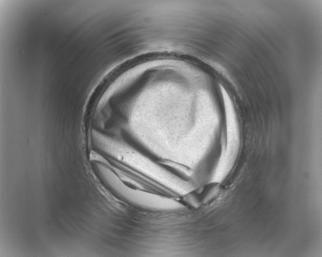 X0000070180927200606231943