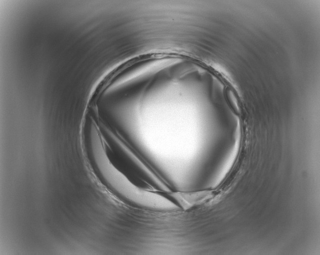 X0000070180928200606231943