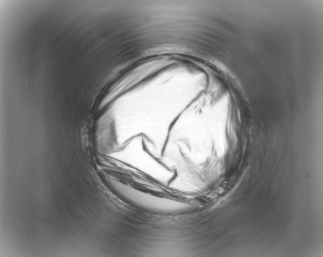 X0000070180929200606231943