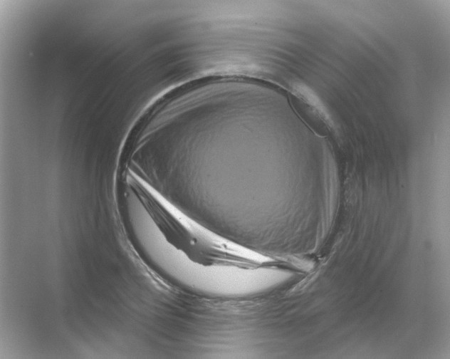 X0000070180932200606231943