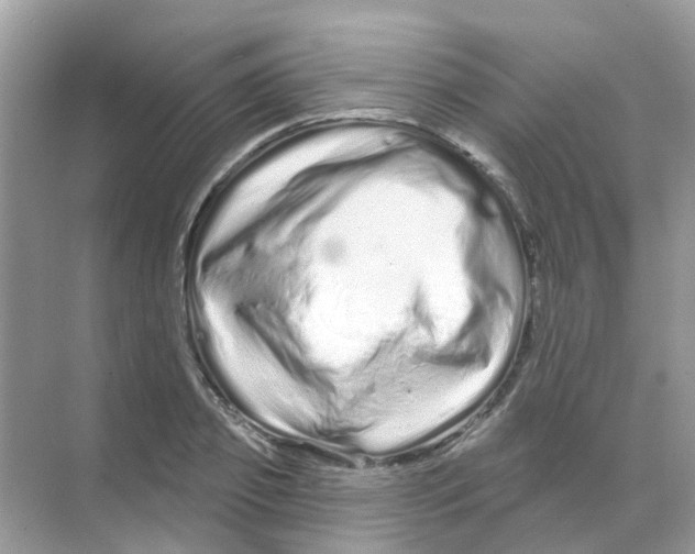 X0000070180933200606231943