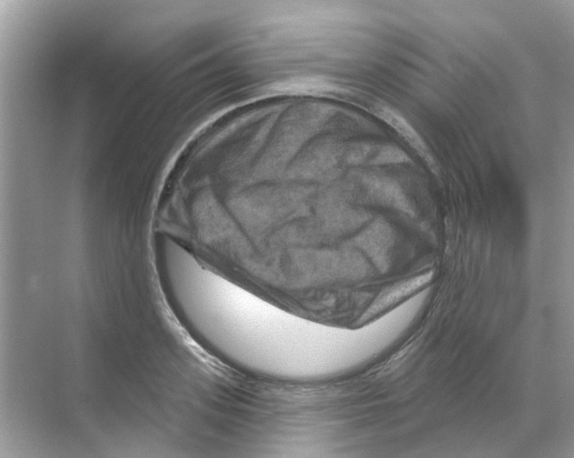 X0000070180939200606231943
