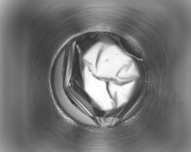 X0000070180942200606231943