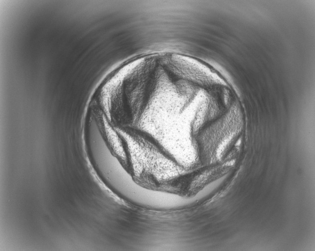 X0000070180949200606231943