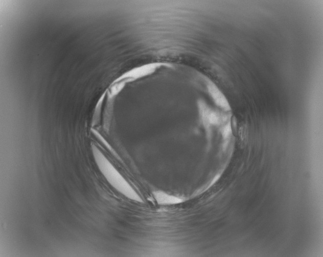 X0000070180963200606231942