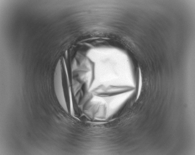 X0000070180964200606231942