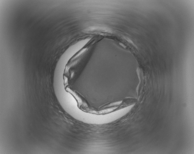 X0000070180965200606231942