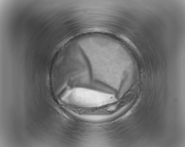 X0000070180969200606231942