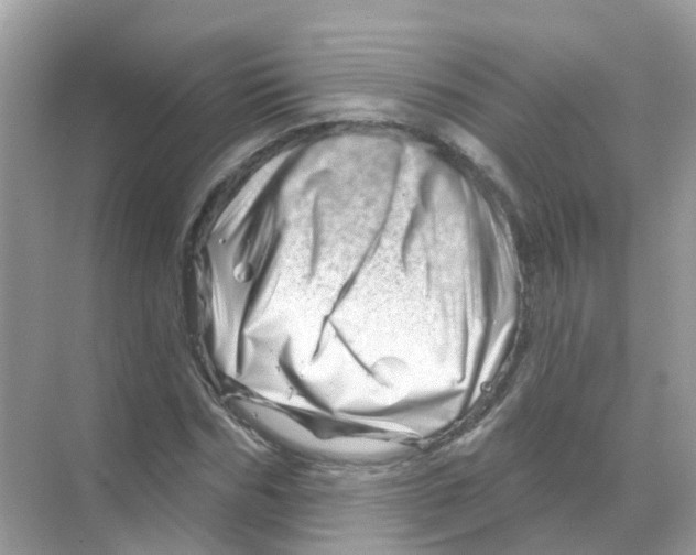 X0000070180970200606231942