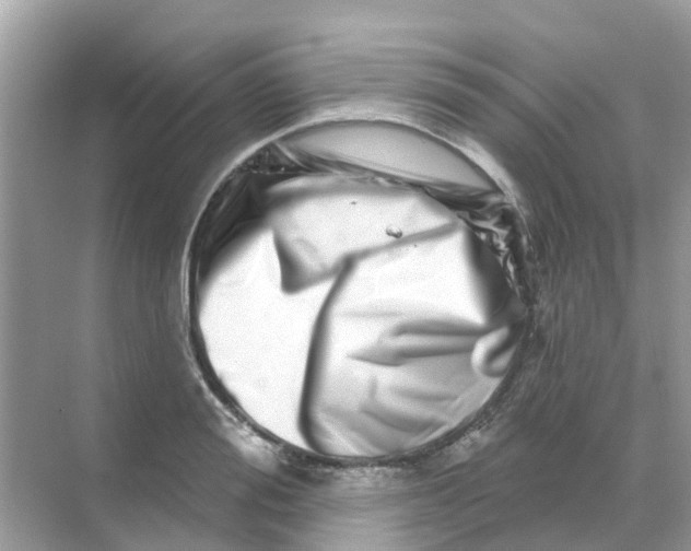 X0000070180988200606231942
