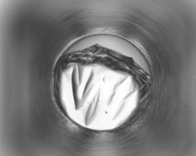 X0000070180992200606231942