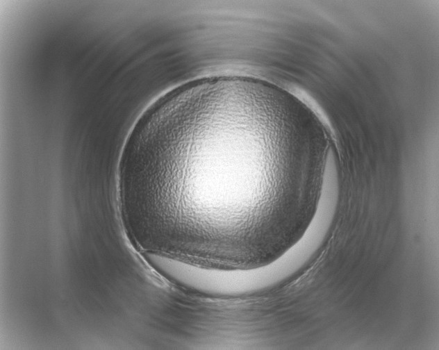 X0000070180996200606231942