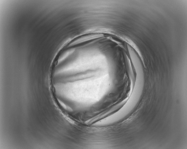 X0000070180997200606231942
