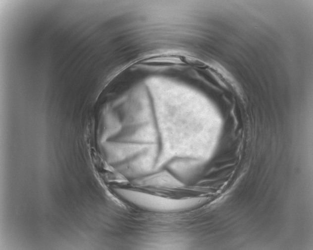 X0000070181001200606231942