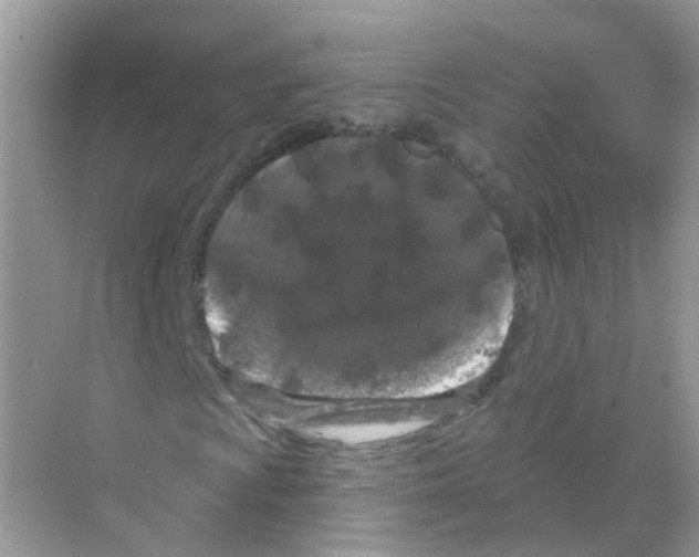 X0000070181009200606231941