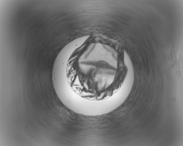 X0000070181010200606231941