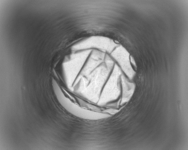 X0000070181012200606231941