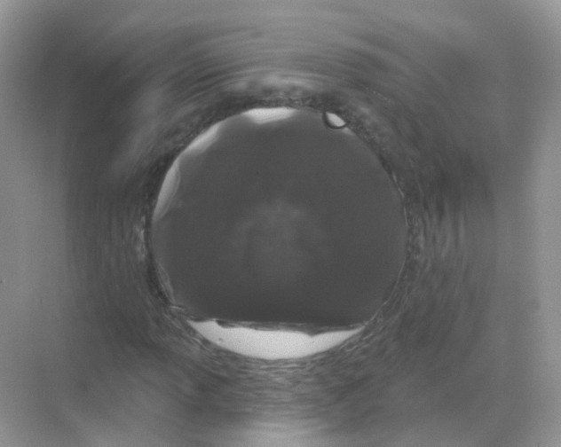 X0000070181013200606231941